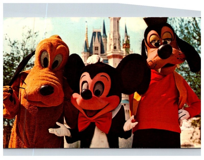 Florida  Disney World , Welcome to the Magic Kingdom