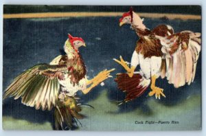 Puerto Rico Postcard Cock Fight Chicken Fighting 1973 Unposted Vintage