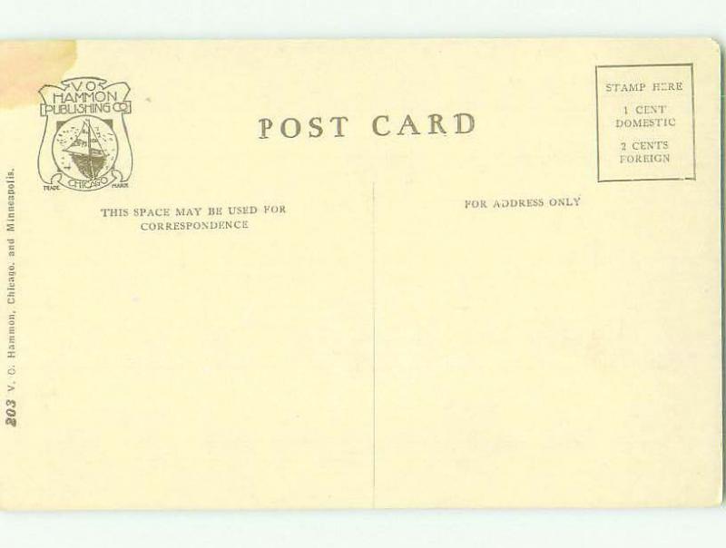 Divided-Back BRIDGE SCENE Minneapolis Minnesota MN HJ1442