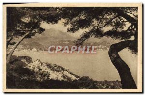 Old Postcard Menton Cap Martin Menton General View