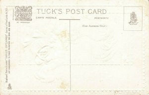 A Joyous Easter Turkey & Boy Raphael Tuck Embossed Postcard