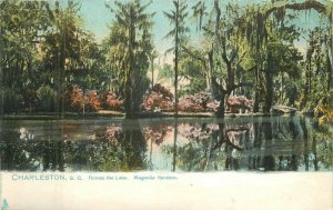 South Carolina Charleston Magnolia Gardens Lake Tuck #1046 Postcard 22-8941