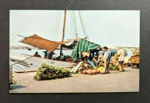 Mint Vintage Bananas at Port Maracaibo Venezuela Picture Postcard