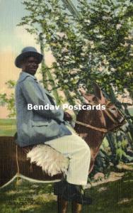 curacao, N.W.I., Native Man on Donkey (1948) Stamp