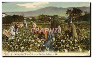 Old Postcard Cote d & # 39Azur picking roses