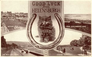 Postcard 1944 Good Luck Helensburgh Scotland Attraction Horseshoe & Cat Greeting