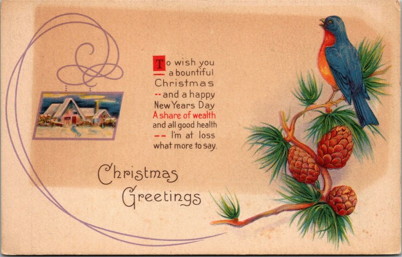 Vtg 1910s Christmas Greetings Winter Cabin Pine Cones Eastern Bluebird Postcard