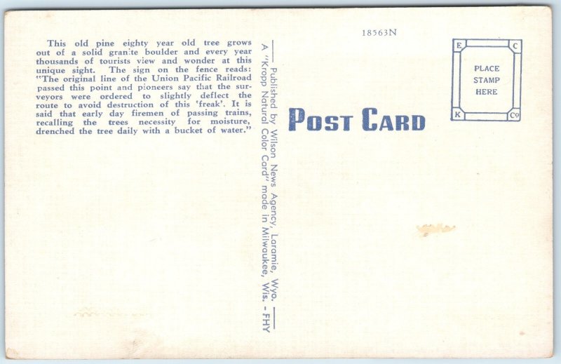 c1940s Laramie, WY Old Pine Tree Rock Monument Lincoln Highway Linen PC Wyo A284