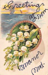 Manor Maryland Greetings From flowers boats seagulls antique pc Z49173