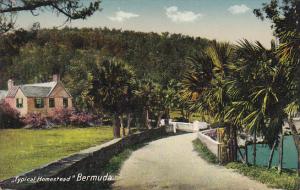 A Typical Homestead Bermuda