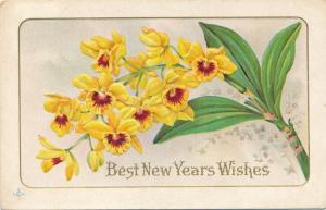 Best New Years Wishes - Flower Greetings - pm 1912 - DB