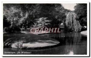 Old Postcard From Driebergen Wildbaan