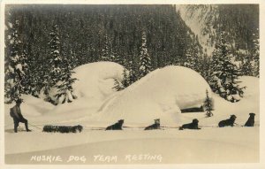 Postcard RPPC 1920s Canada Huskie dog team resting CD24-729