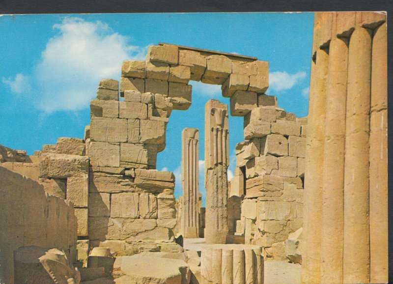 Egypt Postcard - Karnak - Lotus and Papyrus Pillars in Amon Ra Temple  T792