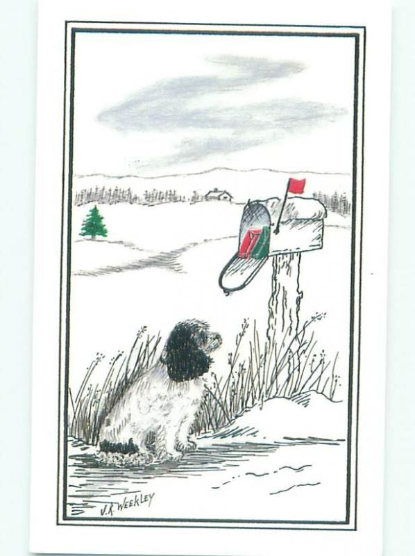 Pre-1980 signed DOG LOOKING AT MAILBOX AC5918