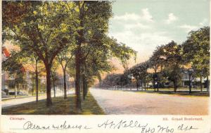 Chicago Illinois~Grand Boulevard~Residential Area~Trees in Center~1905 Pc