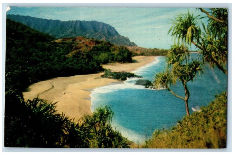 1968 Lumahai Beach Garden Island Kauai Foreground Hawaiian Hala Trees Postcard 
