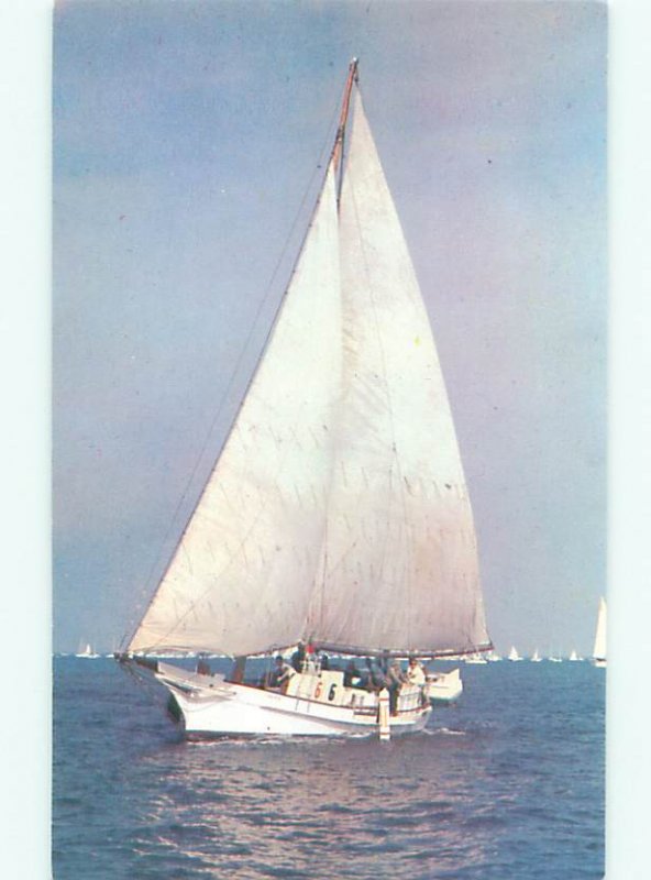 Pre-1980 BOAT SCENE Tangier Sound - Near Norfolk & Newport News VA AF4679