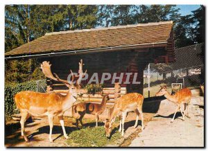 Postcard Modern Kneipp Kurhaus Dussnang TG