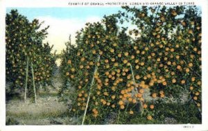 Orange Production - Rio Grande Valley, Texas TX  