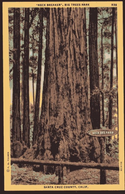 California SANTA CRUZ COUNTY Neck Breaker Big Trees Park - LINEN