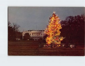 Postcard The White House At Christmas Time, Washington, District of Columbia