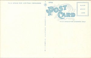 Palmyra Bank PA Pennsylvania Old Car WB Postcard UNP VTG Tichnor Unused Vintage 
