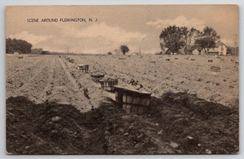 Flemington NJ Farming Scene New Jersey Postcard X25