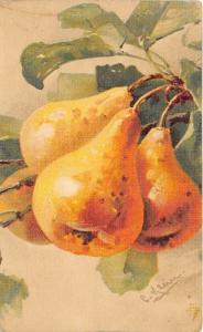 BG33566  pears   fruits  catharina klein  nice artist signed