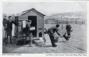 Poultry Farm Alton Hants Cripples Home Antique Farming Postcard
