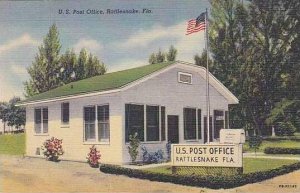 Florida Rattlesnake U S Post Office Curteich