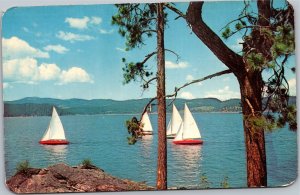 Postcard ID Lake Coeur d'Alene Sailboating