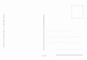 Tropical Omelette - Recipe