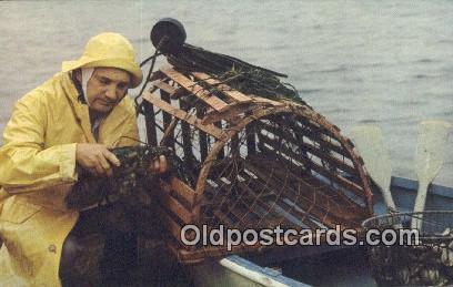 Maine Coast Fisherman  Postcard Post Card, Carte Postale, Cartolina Postale, ...