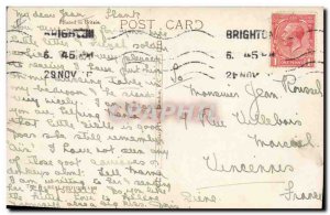 Old Postcard Cat Cats Kitten