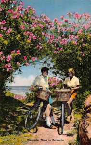 OLEANDER TIME IN BERMUDA~MAN & WOMAN RIDING BICYCLES POSTCARD