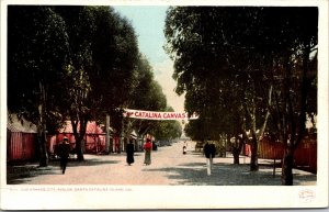 Postcard The Canvas City, Avalon, Santa Catalina Island, California~4143