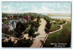 1908 Western Promenade Dirt Road Buildings Grove Flag Portland Maine ME Postcard 