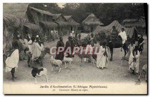 Old Postcard Garden of Acclimatization Caravan Moor at rest africa The myster...