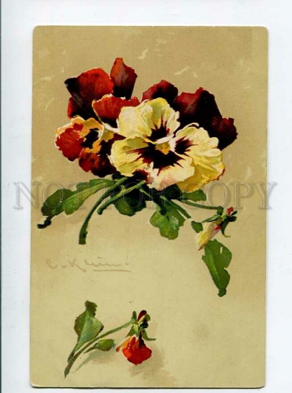 3134490 Charming PANSY by C. KLEIN vintage Colorful PFB Publ.