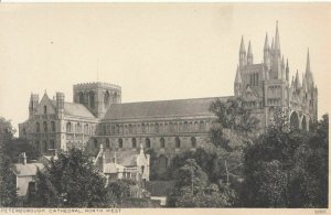 Cambridgeshire Postcard - Peterborough Cathedral - North West -  Ref W517