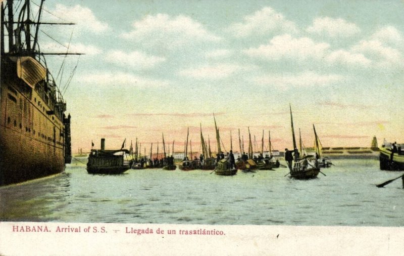 cuba, HAVANA, Llegada  de un Trasatlántico, Arrival of a Steamer (1908) Postcard