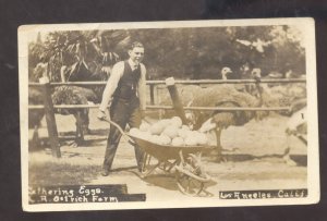 RPPC LOS ANGELES CALIFORNIA OSTRICH FARM EGGS WHEELBARROW REAL PHOTO POSTCARD