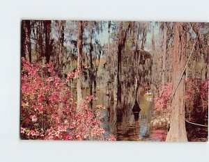 Postcard Cypress Gardens, Moncks Corner, South Carolina