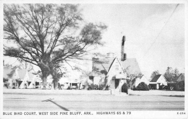 West Side Pine Bluff Arkansas Blue Bird Court Vintage Postcard K90862