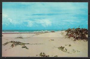 Texas - Sand Dunes Along The Gulf Beaches - [TX-016]