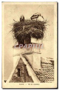 Old Postcard Alsace Storks Nest