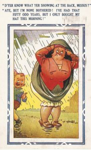 Dyer know what yer showing... Humorous Bamforth Domic Ser. PC # 142