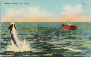 Tarpon Fishing in Florida FL Fishermen Fish Vintage UNUSED Linen Postcard D86