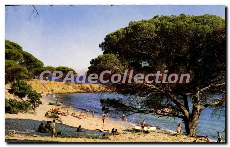 Modern Postcard From The Beach Porto Vecchio Palombaggia